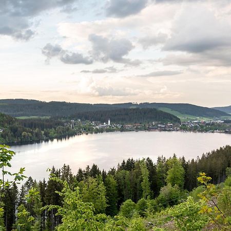 Ferienwohnung Sonnenglueck Mit Grosszuegigem Suedbalkon Lenzkirch Exteriör bild