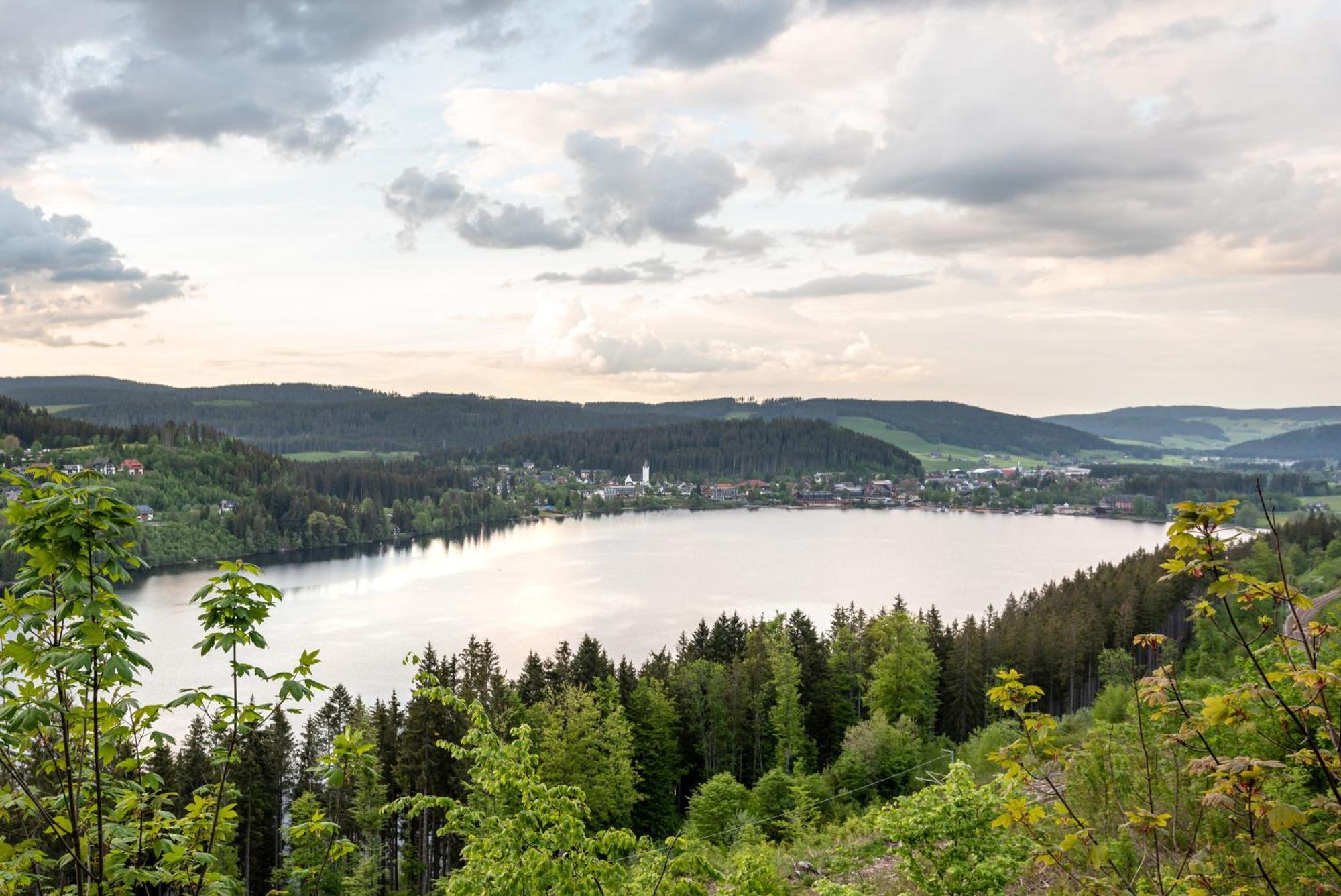 Ferienwohnung Sonnenglueck Mit Grosszuegigem Suedbalkon Lenzkirch Exteriör bild