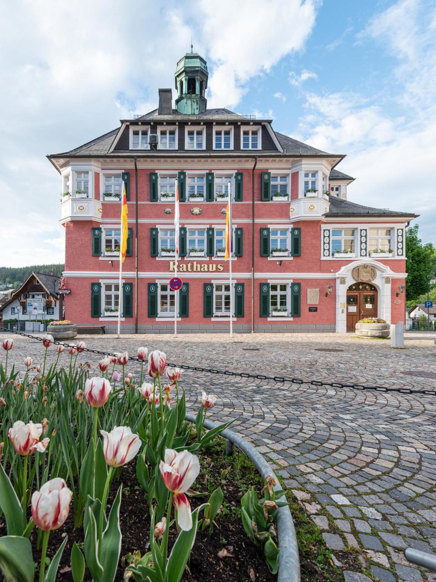 Ferienwohnung Sonnenglueck Mit Grosszuegigem Suedbalkon Lenzkirch Exteriör bild